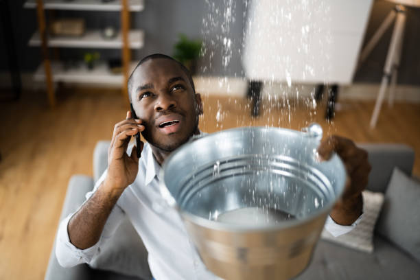 Best Commercial water damage restoration  in Schaumburg, IL