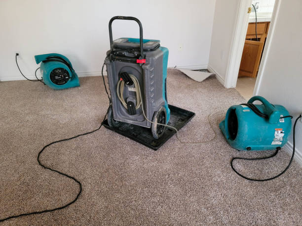 Best Water damage restoration near me  in Schaumburg, IL