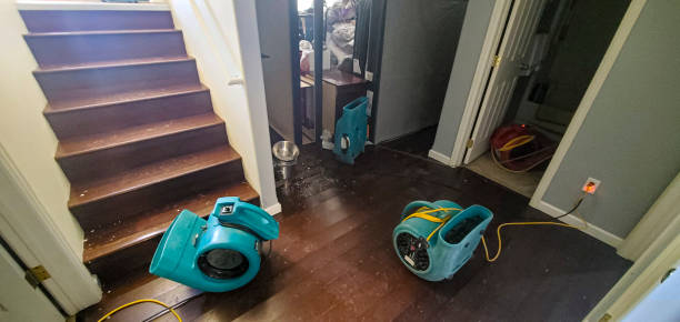 Best Flood restoration services  in Schaumburg, IL