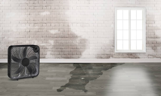 Best 24/7 water damage repair  in Schaumburg, IL